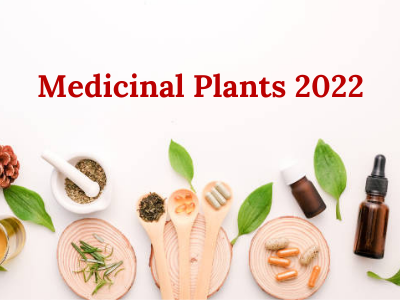 medicinal plants and natural products