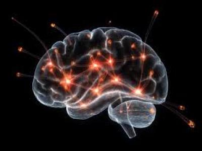 international conferences on neurology and neuroscience