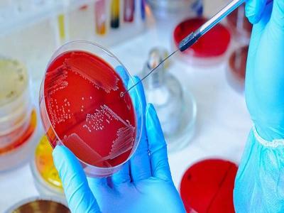 international conference on microbiology and immunology